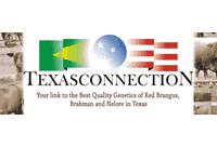 Your link to the Best Quality Genetics of Red Brangus, Brahman and Nelore in Texas