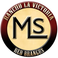 www.mlslavictoria.com.mx