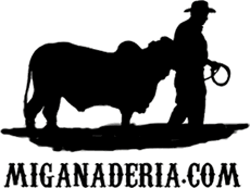 www.miganaderia.com