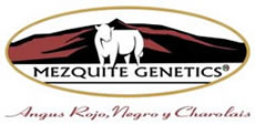 www.mezquitegen.com